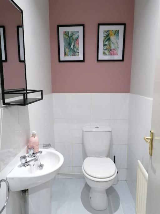 Stunning 3 Bedroom Townhouse In The Heart Of City Belfast Zewnętrze zdjęcie